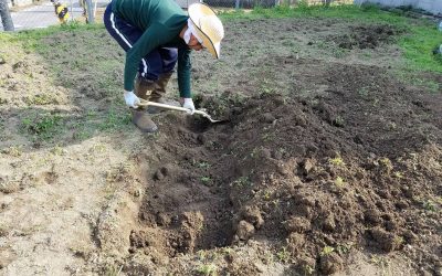 家庭菜園者向け 土作りから始める自然農法